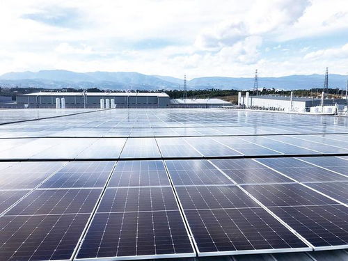 大抓项目 推动保山高质量发展 历时146天 龙陵县首个分布式光伏发电项目建成投产